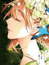 星空在线观看免费高清 阿甘正传